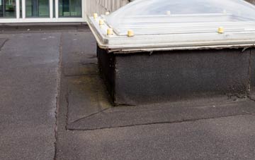 disadvantages of Newtonhill flat roofs